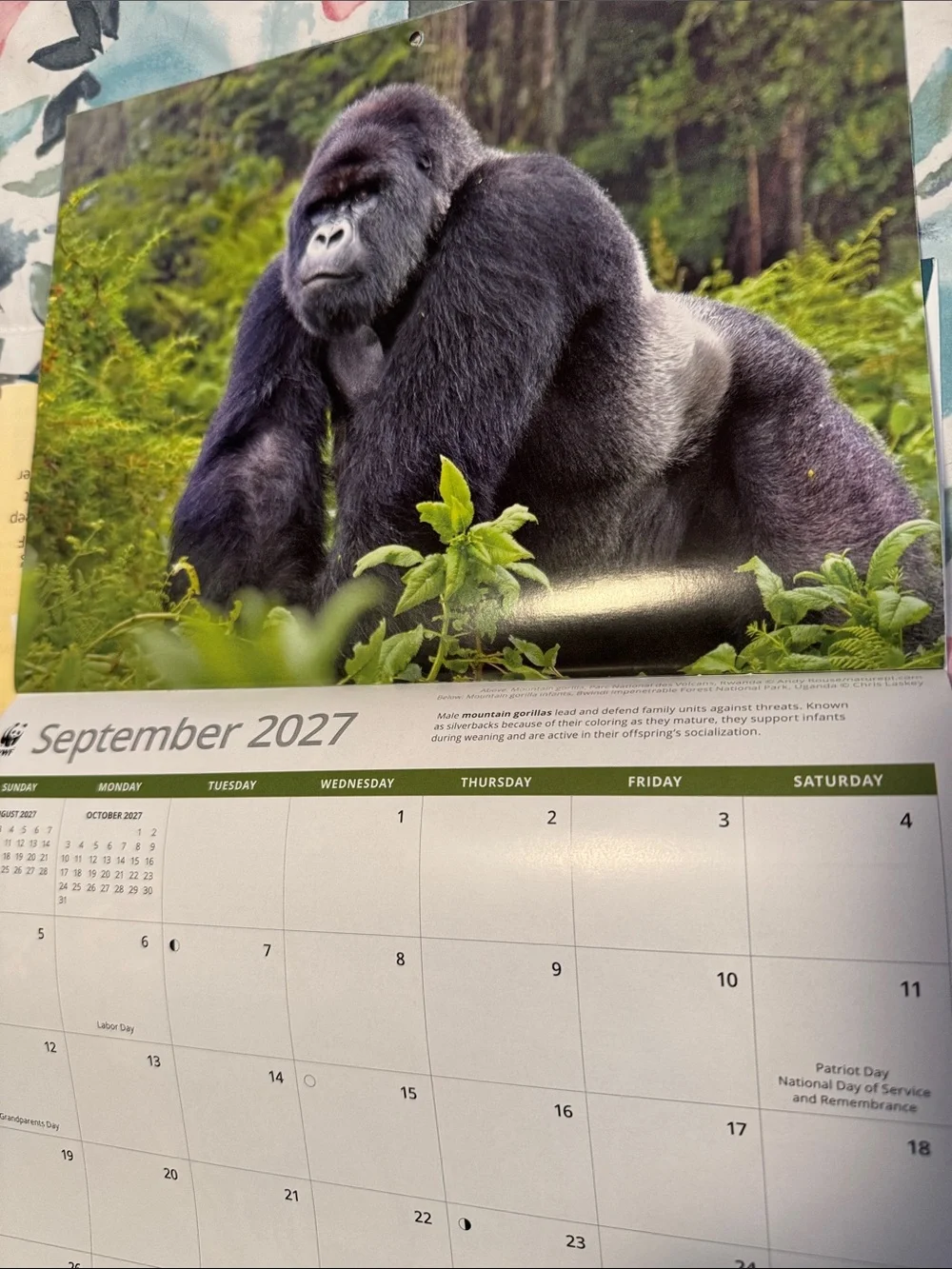 16 month Calendar.  2027